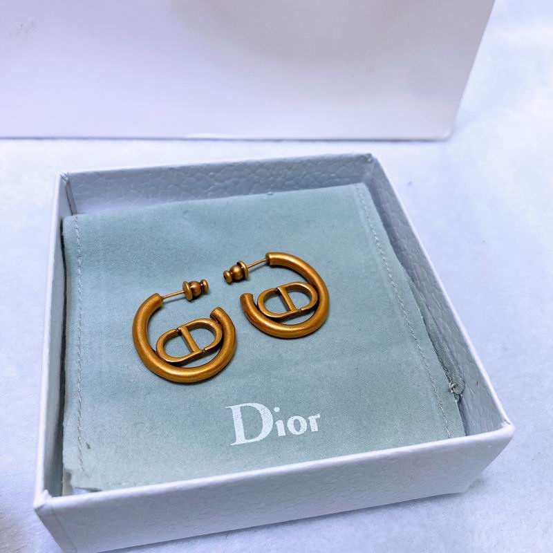 Dior Earring 04lyr304